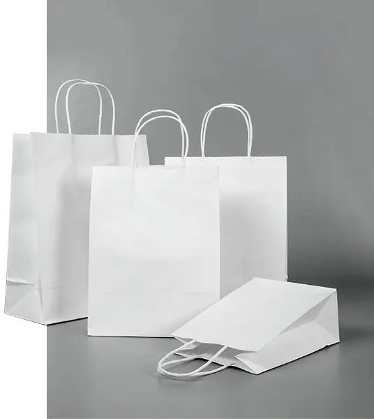 White Paper Bags